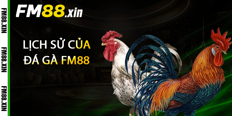 Lịch sử của đá gà FM88 